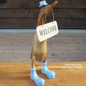 [|Cg2{]EFJ{[h Aq   LTCY EFJl` Aq Ɗ Ђ ؒ̓ ؐ | Ebh VR ؒ̒u nhCh CeA oG 