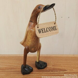 [|Cg2{]EFJ{[h Aq i`J[ STCY EFJl` Ɗ Ђ ؒ̓ ؐ | Ebh VR ؒ̒u nhCh CeA oG