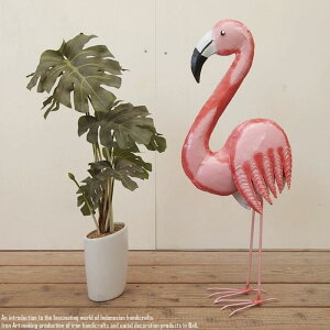 ACAt~S STCY t~S u   IuWF t~Su sN CeA EFJl` ACA nhCh CeA oG ][g AWAG 