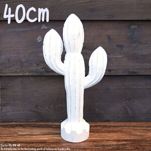 [|Cg2{]IuWF T{e 40cm JN^X Cactus WW ؒ̐A EFJ ʓA ؐ Ebh VR ؒ̒u nhCh ACeA oG AWAG Au 