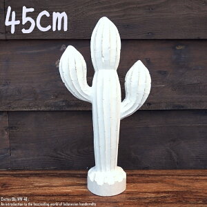 [|Cg2{]IuWF T{e 45cm JN^X Cactus WW ؒ̐A EFJ ʓA ؐ Ebh VR ؒ̒u nhCh ACeA oG AWAG Au 