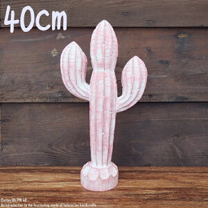 [|Cg2{]IuWF T{e 40cm JN^X Cactus PW ؒ̐A EFJ ʓA ؐ Ebh VR ؒ̒u nhCh ACeA oG AWAG Au 