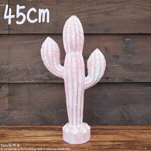 [|Cg2{]IuWF T{e 45cm JN^X Cactus PW ؒ̐A EFJ ʓA ؐ Ebh VR ؒ̒u nhCh ACeA oG AWAG Au 