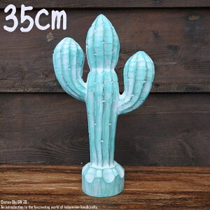 [|Cg2{]IuWF T{e 35cm JN^X Cactus GW ؒ̐A EFJ ʓA ؐ Ebh VR ؒ̒u nhCh ACeA oG AWAG Au 