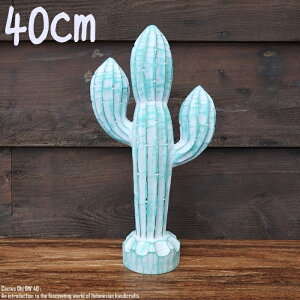 [|Cg2{]IuWF T{e 40cm JN^X Cactus GW ؒ̐A EFJ ʓA ؐ Ebh VR ؒ̒u nhCh ACeA oG AWAG Au 