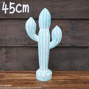 [|Cg2{]IuWF T{e 45cm JN^X Cactus GW ؒ̐A EFJ ʓA ؐ Ebh VR ؒ̒u nhCh ACeA oG AWAG Au 