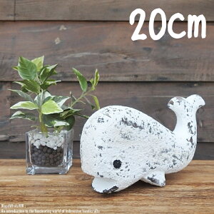 [|Cg2{]ؐIuWF NW S 20cm zCgEHbV ؒ̓ A[g EFJIuWF ~ zG[ i nCAG nC  ze C fR[V Ebh