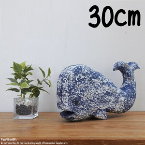 [|Cg2{]ؐIuWF NW L 30cm u[EHbV ؒ̓ A[g EFJIuWF ~ zG[ i nCAG nC  ze C fR[V Ebh 