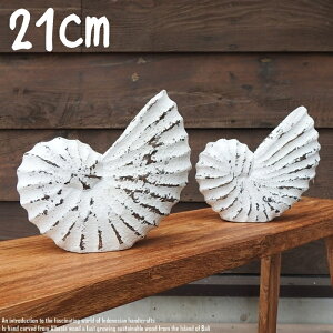 [|Cg2{]ؐ IuWF IEKC LTCY 21cm L zCgEHbV ؒ̃A[g nCAG  ze i Ebh VR ؒ̒u nhCh C fR[V