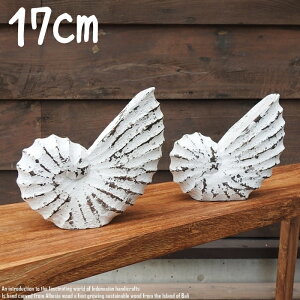 [|Cg2{]ؐIuWF IEKC MTCY 17cm L zCgEHbV ؒ̃A[g nCAG  ze i Ebh VR ؒ̒u nhCh C fR[V