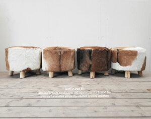 Rrє EhXc[ 50cm ۈ֎q nR`FA є VRf  ۈ֎q EbhXc[ | VO\t@ oƋ AWAƋ VR {v wȂ  Ɣ  X