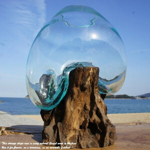 大 水槽 金魚鉢 花瓶の人気商品 通販 価格比較 価格 Com