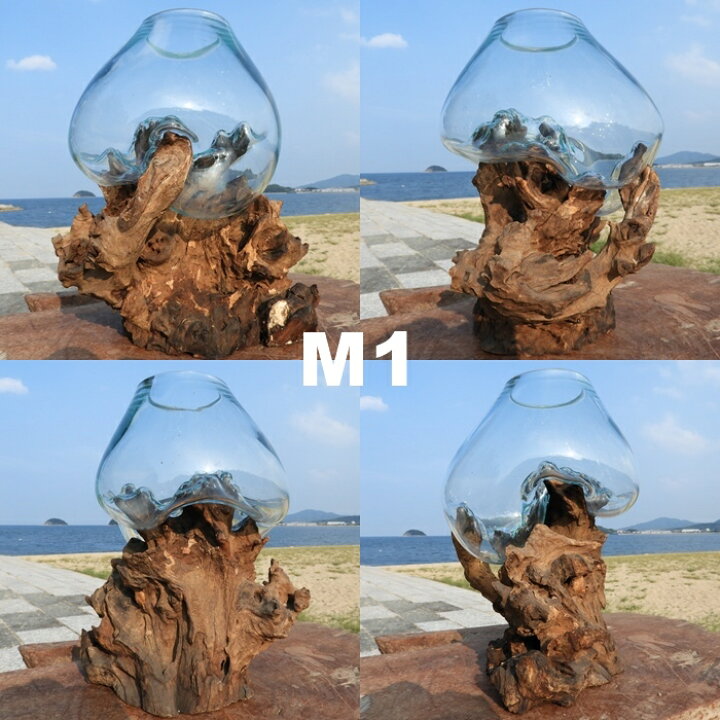 楽天市場】選べる 流木ガラスオブジェ 大きい M24 花瓶 アクアリウム 