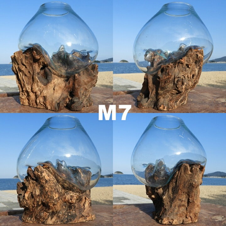 楽天市場】選べる 流木ガラスオブジェ 大きい M24 花瓶 アクアリウム 