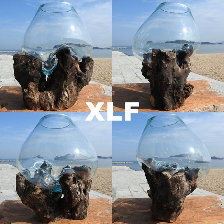 楽天市場 ポイント10倍 選べる 流木ガラス オブジェ 超特大 めっちゃ大きい Xlサイズ 花瓶 アクアリウム テラリウム ビバリウム 苔リウム パルダリウム フラワーポット 金魚鉢 メダカ水槽 バリ島 ポプリ入れ 容器 器 買い回り スーパーセール バリ家具の専門店q Style