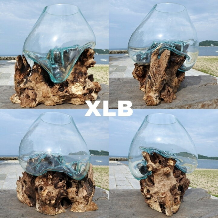 楽天市場 選べる 流木ガラス オブジェ 超特大 めっちゃ大きい Xlサイズ 花瓶 アクアリウム テラリウム ビバリウム 苔リウム パルダリウム フラワーポット 金魚鉢 メダカ水槽 バリ島 ポプリ入れ 容器 器 買い回り スーパーセール バリ家具の専門店q Style