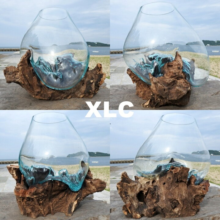 楽天市場 選べる 流木ガラス オブジェ 超特大 めっちゃ大きい Xlサイズ 花瓶 アクアリウム テラリウム ビバリウム 苔リウム パルダリウム フラワーポット 金魚鉢 メダカ水槽 バリ島 ポプリ入れ 容器 器 買い回り スーパーセール バリ家具の専門店q Style
