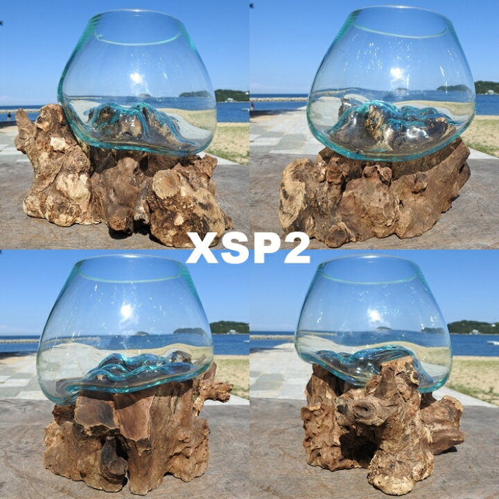 最上の品質な 流木ガラス 194 Basic Mメダカ 水槽 花瓶 プレゼント ガラス
