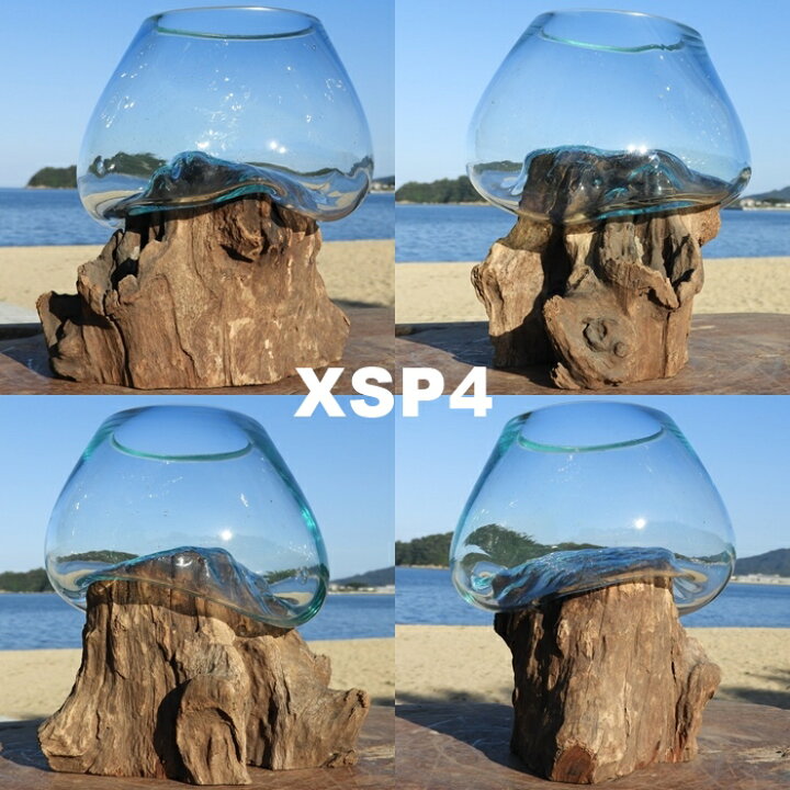 楽天市場】選べる 流木ガラスオブジェ XSP 花瓶 アクアリウム 