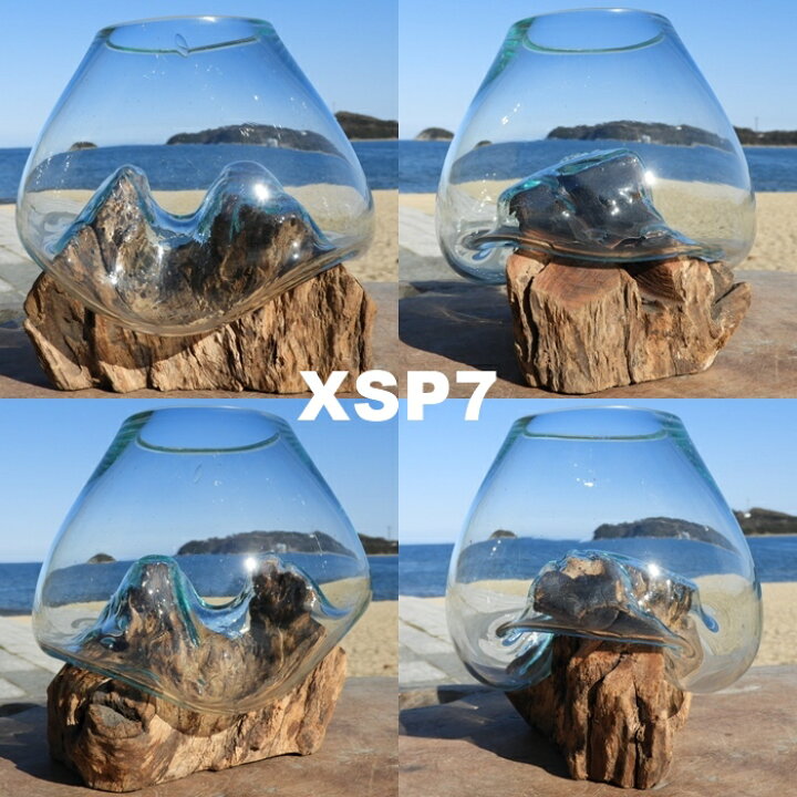 楽天市場】選べる 流木ガラスオブジェ XSP 花瓶 アクアリウム 