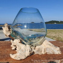 楽天市場】流木 特大（インテリア小物・置物｜インテリア・寝具・収納 