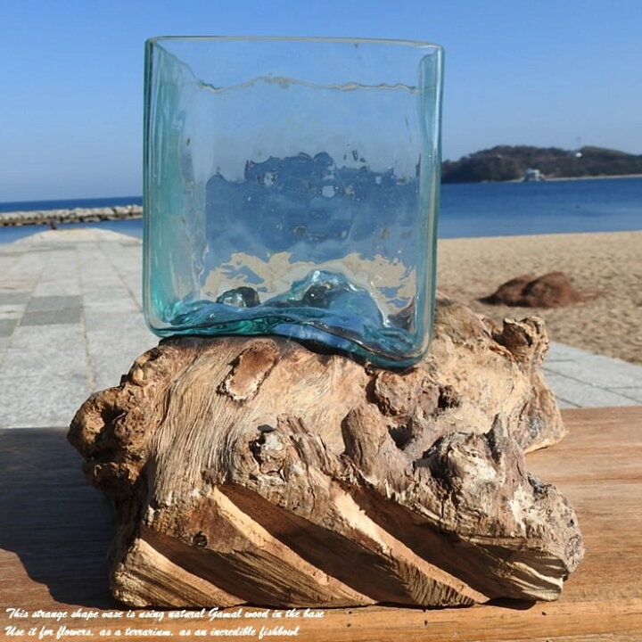楽天市場】選べる 流木ガラスオブジェ SQ12 花瓶 アクアリウム 