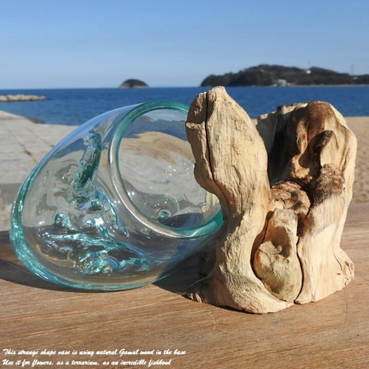 アジアン バリ島 流木 テラリウム ガラス オブジェ 置物 メダカ 金魚