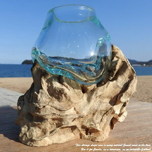 Iׂ ؃KXIuWF W8 ԕr ANAE eE t[|bg   o AWAG |v e  TCNKX IuWF 킢 TCNEbh 