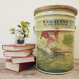 [|Cg2{]y[ʃXc[ paradise of the pacific p_CX T[tB [t֎q CNƋ IC yL S~ X`[| AJG