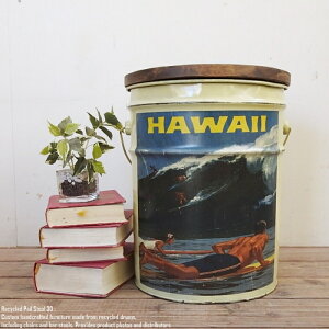 [|Cg2{]y[ʃXc[ Hawaii [nC] [t֎q CNƋ IC yL S~ X`[| AJG AJG