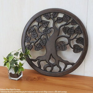 [t 40cm Ebhn[g  ~` Eh DB A[gpl ؒ t[ A[g  Ǌ|  Ǐ A[g CeA pl Ebh[t Ebhpl EH[fR