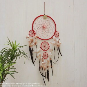 h[Lb`[ }N Size XXL 48`50cm 102`110cm  bh EH[CeA {[z[ {w~A EH[fR[V  Ǐ   CeA }N