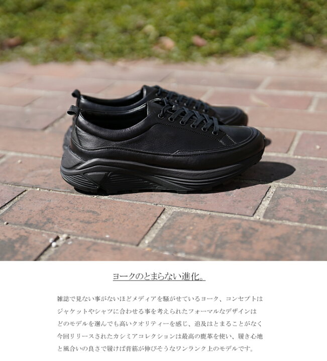 楽天市場】【購入特典 ミニリムーバー付】【4/4 14:59までポイント10倍 