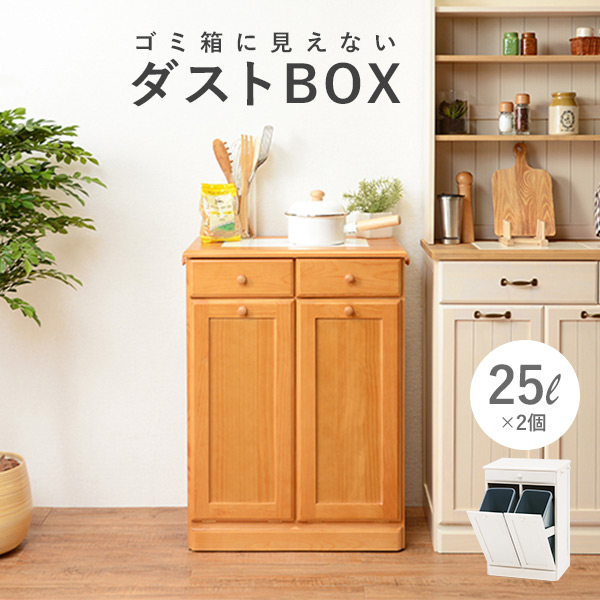 楽天市場】キッチン2分別ダストボックス（25L×2個）【完成品 ...