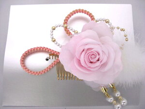 l   񂴂  R[ wAR[ wA[ Us l U Ǝ  y sN gR p[ zR369091