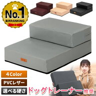 【エントリーでP10倍＆最大100%還元】【楽天スーパーSALE】 【ドッグトレーナー推奨】 ドッグステップ 犬…
