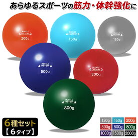 トレーニング ボール 野球 練習用 ボール ウエイトボール ソフトボール バッティング 練習 サンドボール プアボール メディシンボール 体幹 強化 瞬発力 筋トレ リハビリ スポーツ 6種 選べる6セット