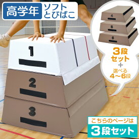 【エントリーでP10倍＆最大100%還元】【楽天スーパーSALE】 跳び箱 室内 子供 高学年向け ソフト 飛び箱 とび箱 ジョイント式 小学生 指導ライン 高重量 運動 自宅 子ども 室内 家庭用 高さ60cm 3段セット