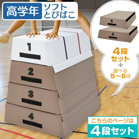 【エントリーでP10倍＆最大100%還元】【楽天スーパーSALE】 跳び箱 室内 子供 高学年向け ソフト 飛び箱 とび箱 ジョイント式 小学生 指導ライン 高重量 運動 自宅 子ども 室内 家庭用 高さ80cm 4段セット