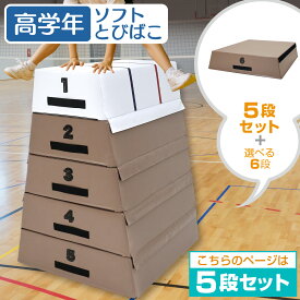 【エントリーでP10倍＆最大100%還元】【楽天スーパーSALE】 跳び箱 室内 子供 高学年向け ソフト 飛び箱 とび箱 ジョイント式 小学生 指導ライン 高重量 運動 自宅 子ども 室内 家庭用 高さ100cm 5段セット