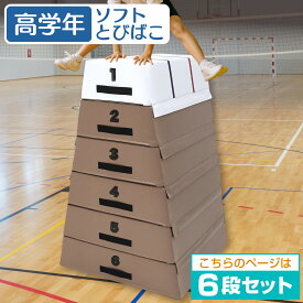 【エントリーでP10倍＆最大100%還元】【楽天スーパーSALE】 跳び箱 室内 子供 高学年向け ソフト 飛び箱 とび箱 ジョイント式 小学生 指導ライン 高重量 運動 自宅 子ども 室内 家庭用 高さ120cm 6段セット