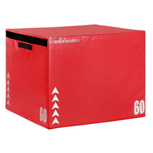 WCg vCI{bNX \tg vCIgNX {bNX ~ Wv Xebv є 3in1 ̊ g[jO Pi IׂTCY