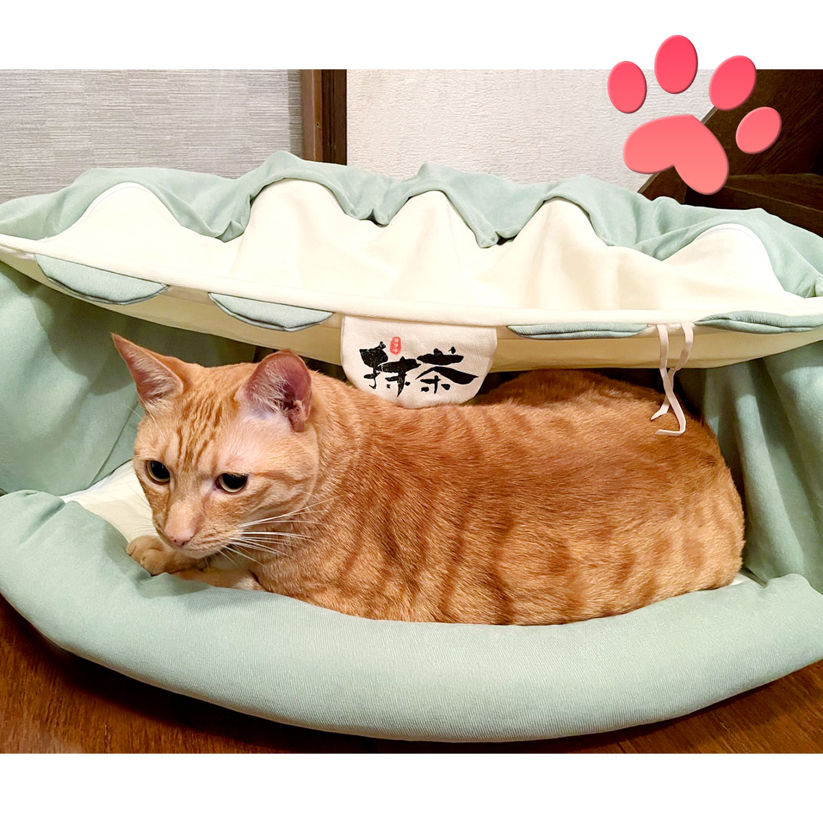 楽天市場】【楽天イーグルス感謝祭】 猫 トンネル おもちゃ ネコ