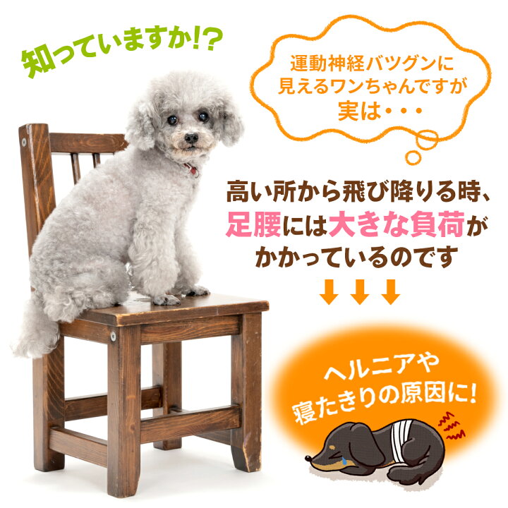 楽天市場】ドッグステップ 犬 階段 ペット 犬用 ステップ 2段 通気性 メッシュ生地 硬めタイプ : 地球問屋 楽天市場】ドッグステップ 犬 階段 ペット 犬用 ステップ 2段 通気性 メッシュ生地 硬めタイプ : 地球問屋