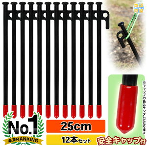 yO 25cm x X`[yO Lv eg ^[v ݉c [U[n LH hKh SLbvt 12{Zbg