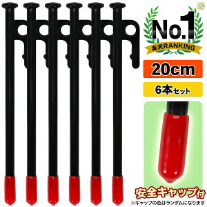 yO 20cm x X`[yO Lv eg ^[v ݉c [U[n LH hKh SLbvt 6{Zbg