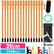 【エントリーでP10倍＆最大100%還元】 ペグ 30cm 16本セット 強靭 スチールペグ キャンプ テント タープ …