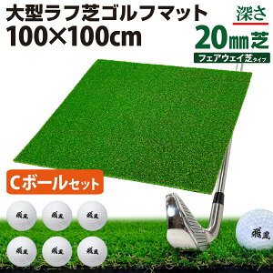 yGg[P10{N[|Lz St}bg 20mm t St K }bg 100×100cm ACA Vbg Av[` Kp Rough Turf lH  O t Ő St{[ C{[