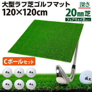 St}bg 20mm t St K }bg 120×120cm ACA Vbg Av[` Kp Rough Turf lH  O t Ő St{[ CZbg