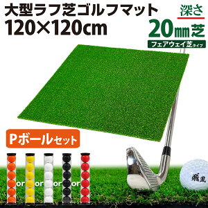 yGg[P10{N[|Lz St}bg 20mm t St K }bg 120×120cm ACA Vbg Av[` Kp Rough Turf lH  O t Ő St{[ PZb